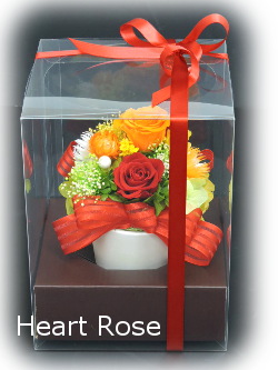 f:id:colorbless:20170827233215j:image