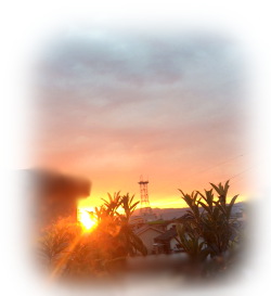 f:id:colorbless:20170831222448j:image