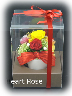 f:id:colorbless:20170918225819j:image f:id:colorbless:20170918225819j:image