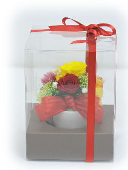 f:id:colorbless:20170918225901j:image f:id:colorbless:20170918225901j:image