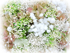 f:id:colorbless:20171020002641j:image f:id:colorbless:20171020002641j:image
