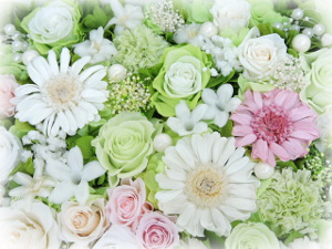 f:id:colorbless:20171022222343j:image