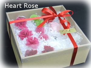 f:id:colorbless:20180114183354j:image f:id:colorbless:20180114183354j:image
