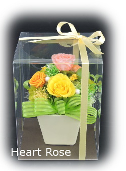 f:id:colorbless:20180116225629j:image