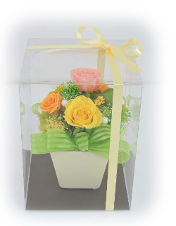 f:id:colorbless:20180116225716j:image