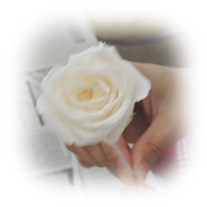 f:id:colorbless:20180126221540j:image