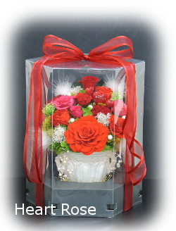 f:id:colorbless:20180201235902j:image