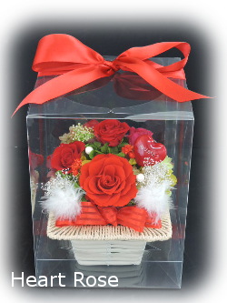 f:id:colorbless:20180212233433j:image