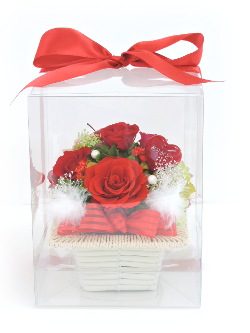 f:id:colorbless:20180212233533j:image