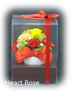 f:id:colorbless:20180220145619j:image
