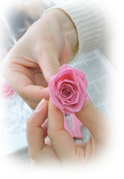 f:id:colorbless:20180227204426j:image f:id:colorbless:20180227204426j:image