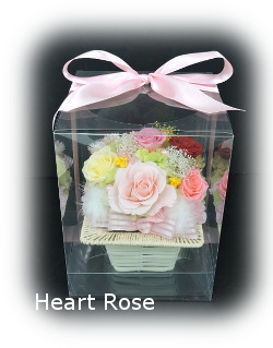 f:id:colorbless:20180402201049j:image