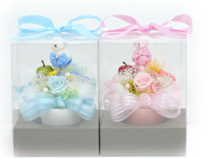 f:id:colorbless:20180405231622j:image