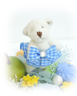 f:id:colorbless:20180405231659j:image