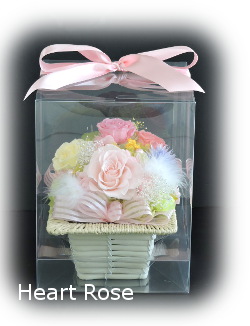 f:id:colorbless:20180424142914j:image