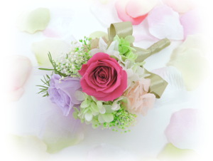 f:id:colorbless:20180430133635j:image f:id:colorbless:20180430133635j:image