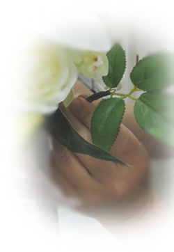 f:id:colorbless:20180608145334j:image