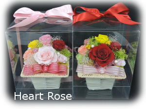 f:id:colorbless:20190401185157j:plain