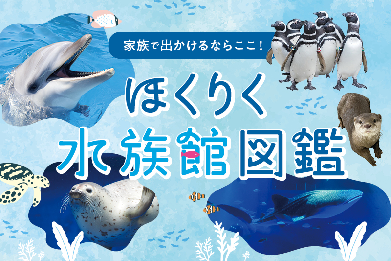 石川・富山・福井・新潟の水族館まとめ