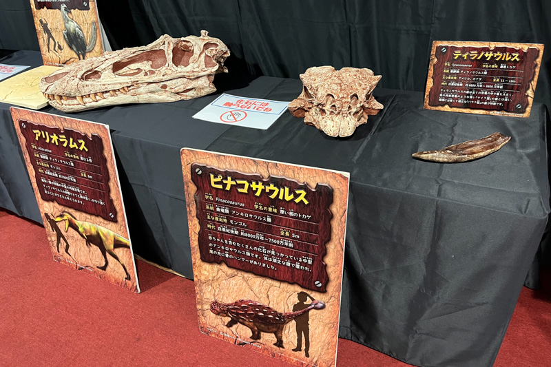 体験型リアル恐竜ショーの恐竜パーク