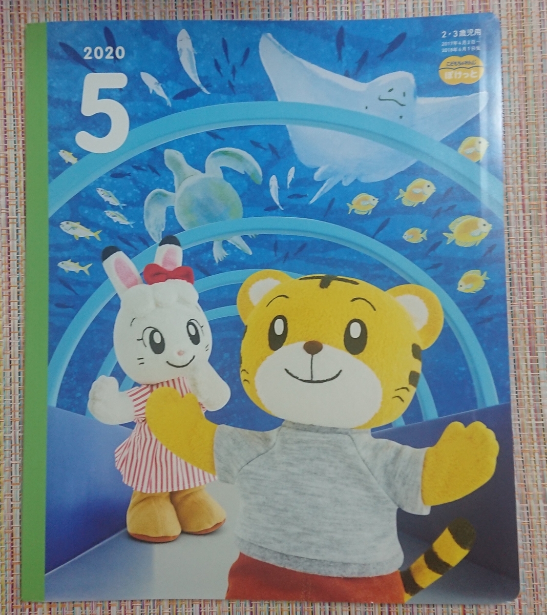 f:id:colorful-life:20200427170756j:plain f:id:colorful-life:20200427170756j:plain