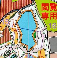 f:id:colorfulleg:20180620001916j:plain