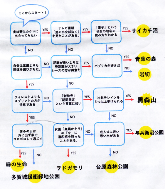 133 晩秋の黒森山国有林でテクニカルなミドル 第42回東北大大会 Ok Info