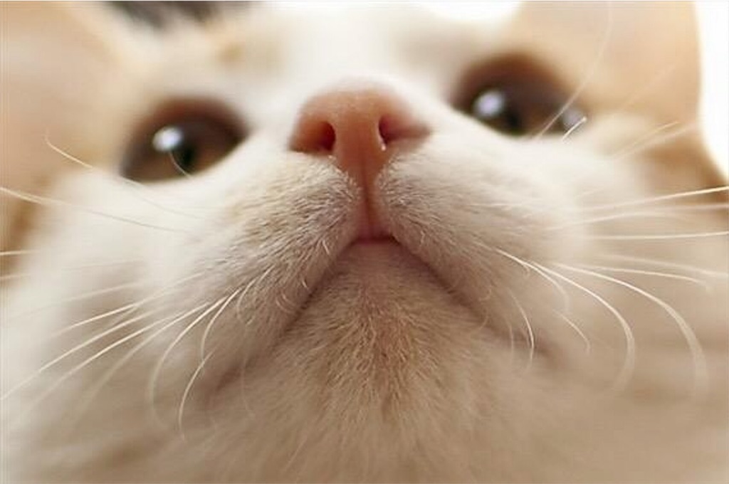 f:id:colorfullylife:20161001205716j:image