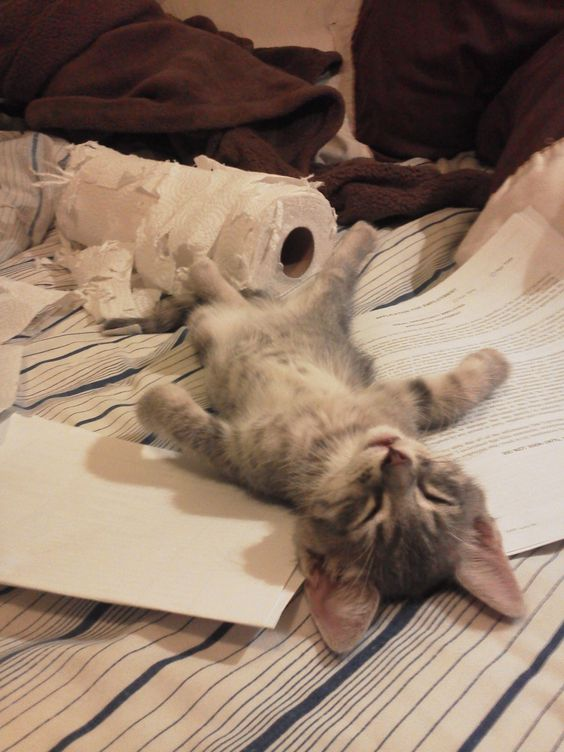 f:id:colorfullylife:20170203103740p:plain