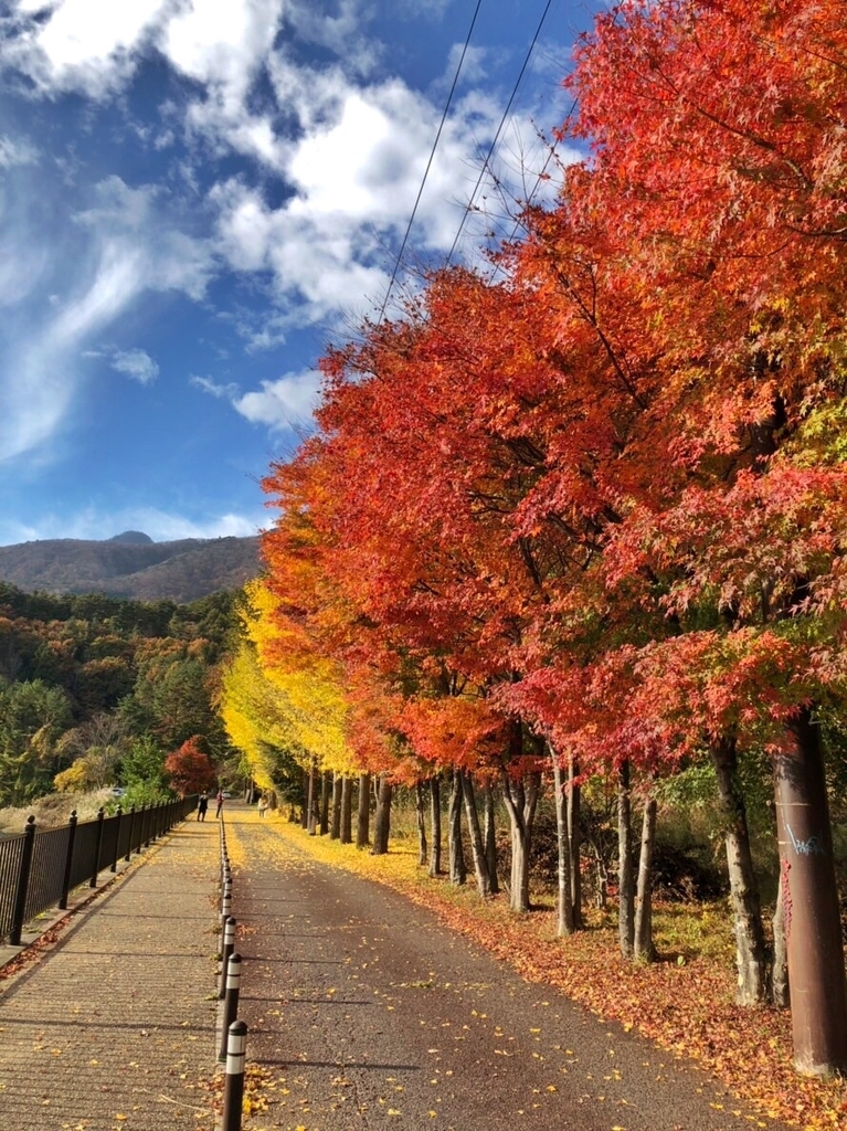f:id:colorfulorganic:20181114174241j:plain