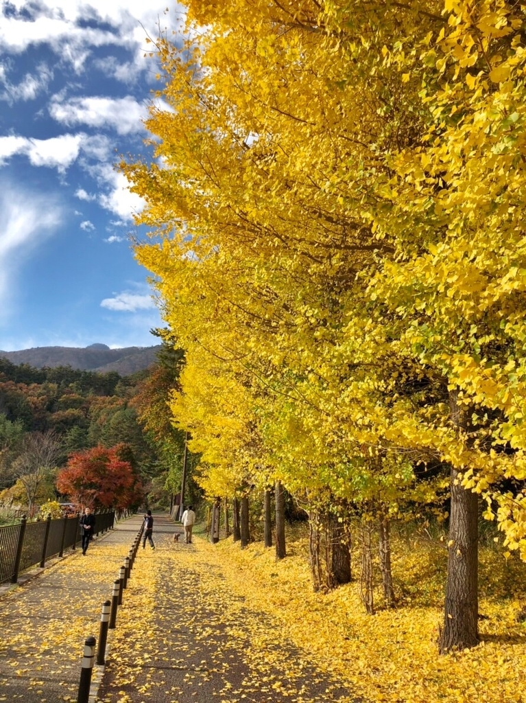 f:id:colorfulorganic:20181114174304j:plain