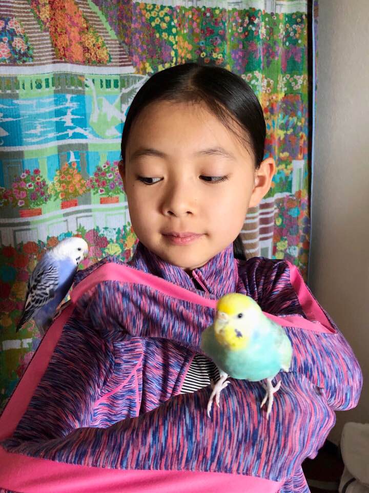 f:id:colorfulorganic:20190503112122j:plain f:id:colorfulorganic:20190503112122j:plain