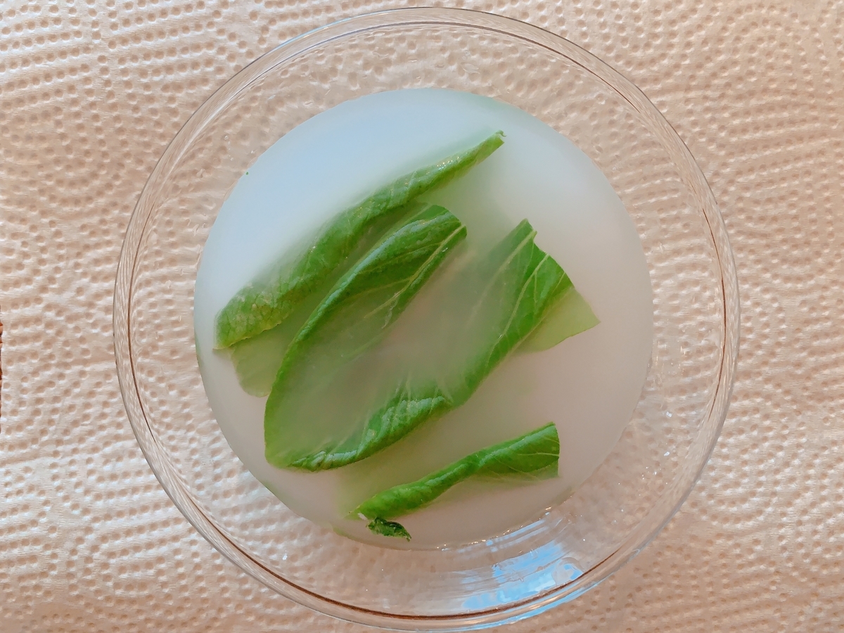 f:id:colorfulorganic:20190902102027j:plain f:id:colorfulorganic:20190902102027j:plain