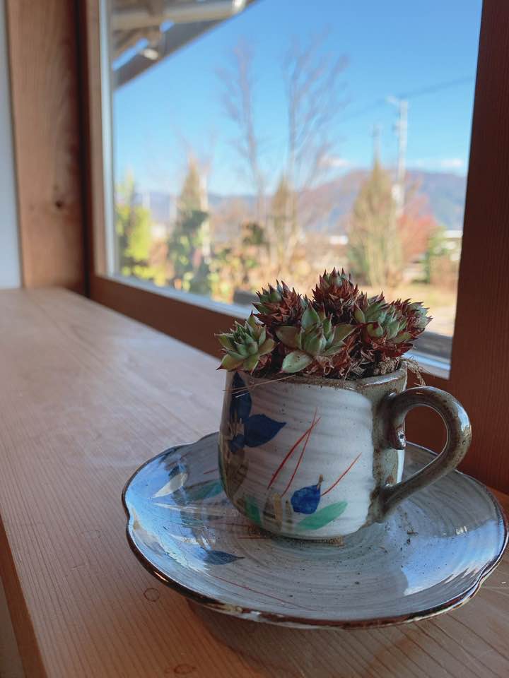 f:id:colorfulorganic:20191210152511j:plain