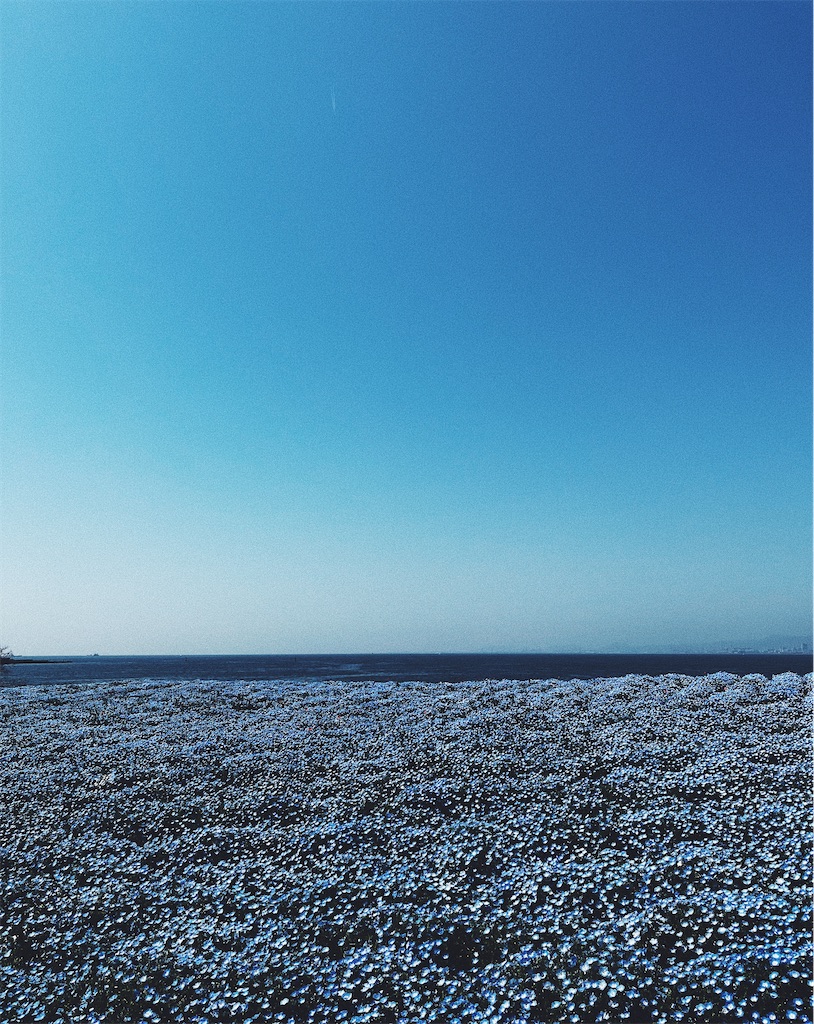 f:id:colormal:20221215212740j:image