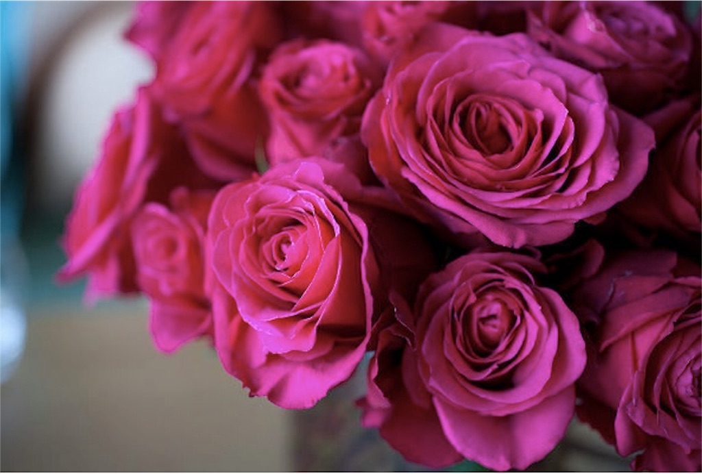 f:id:colorrr:20180128222817j:image f:id:colorrr:20180128222817j:image
