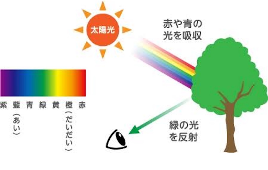 f:id:colorrr:20180912232513j:image f:id:colorrr:20180912232513j:image