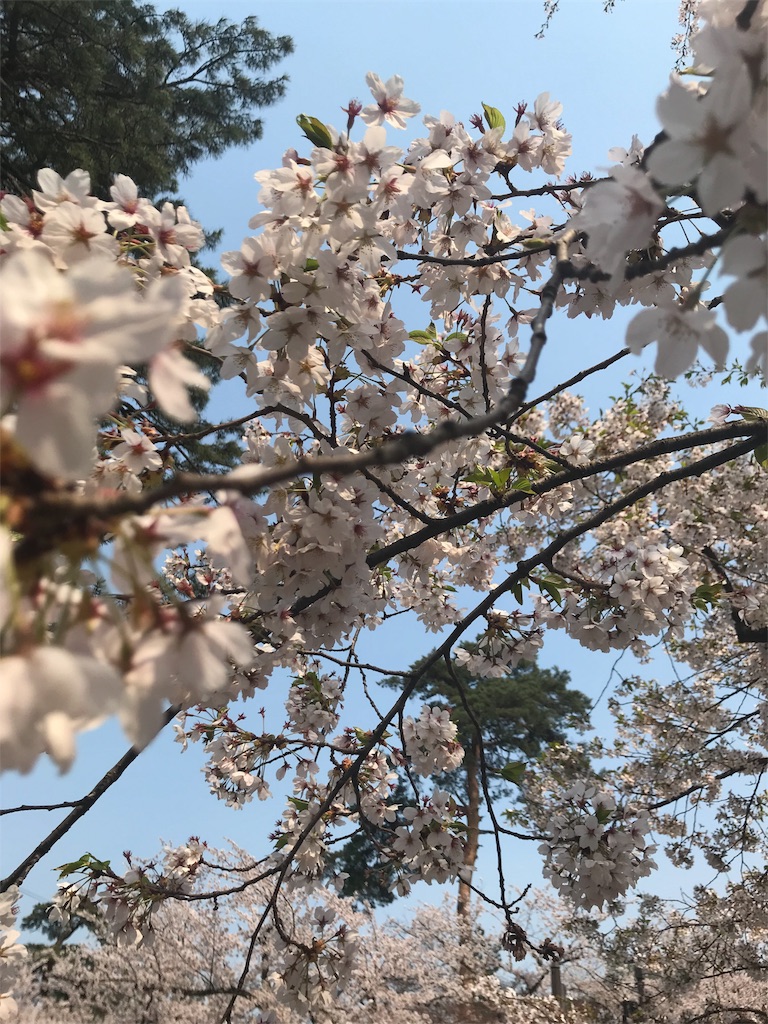 f:id:colorstyle_yu:20180426235152j:image