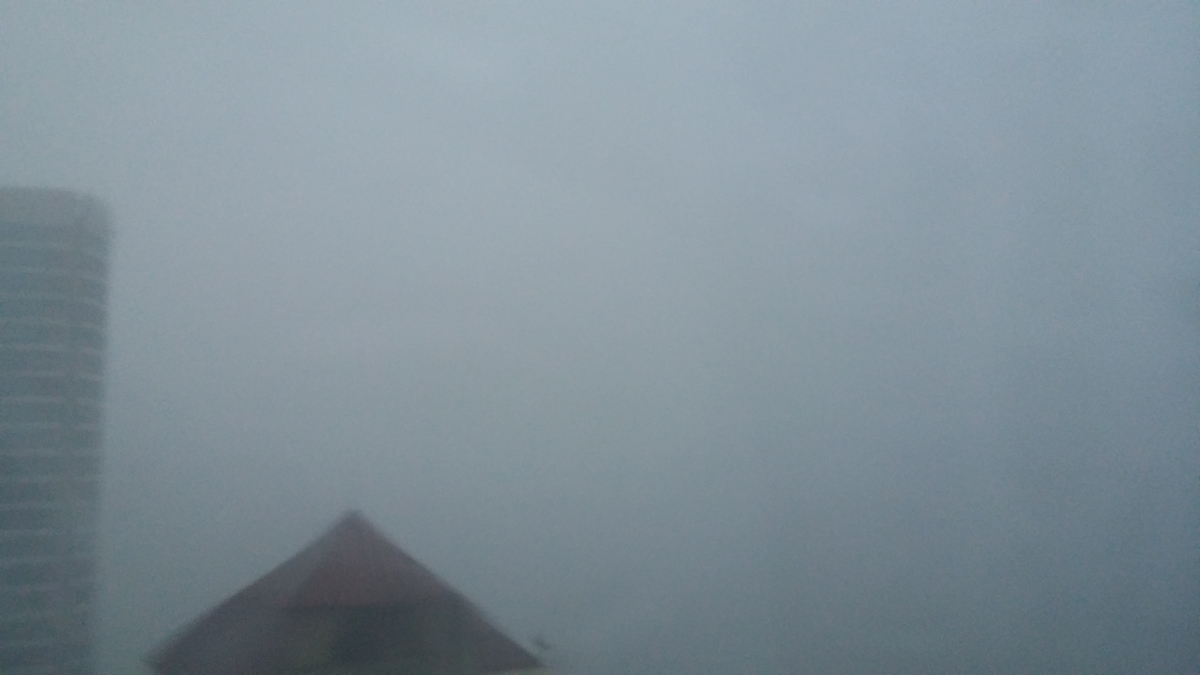 f:id:colour-my-life:20200925095147j:plain f:id:colour-my-life:20200925095147j:plain