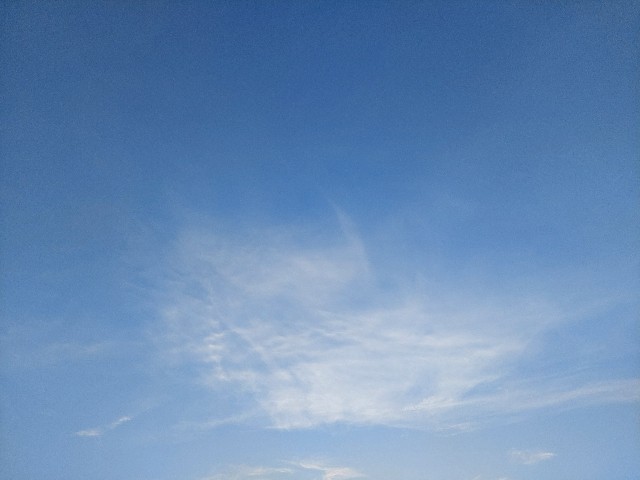 f:id:colourfulworld1234:20230711072909j:image f:id:colourfulworld1234:20230711072909j:image