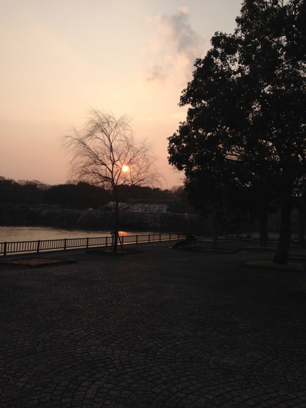 f:id:columbia6421:20140118162727j:image:w360