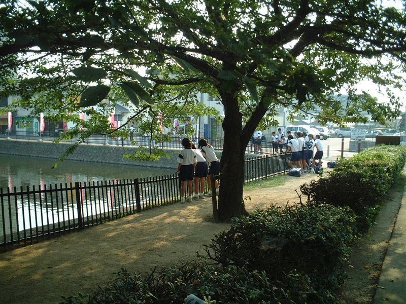 f:id:com:20020824162332j:image