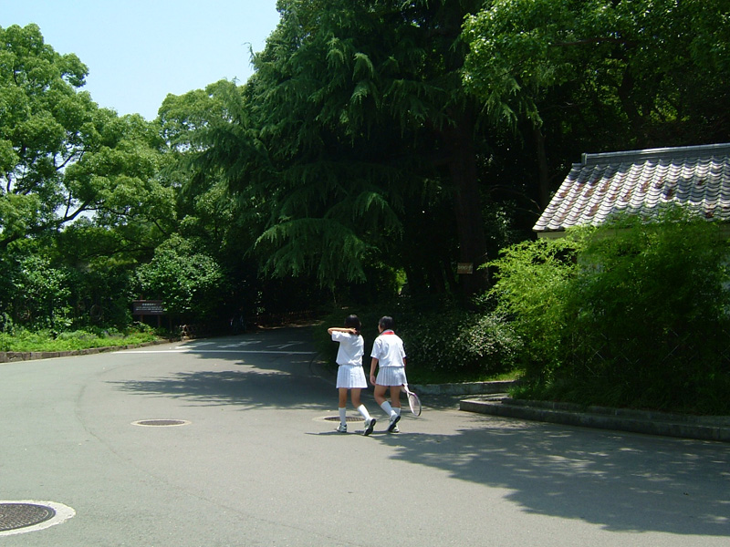 f:id:com:20040703112808j:image