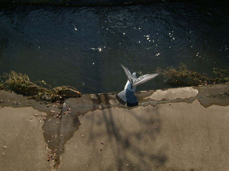 f:id:com:20041019010544j:image