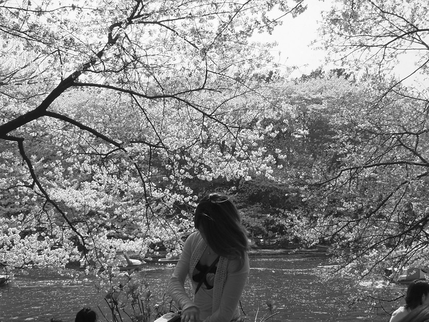 f:id:com:20050410142841j:image