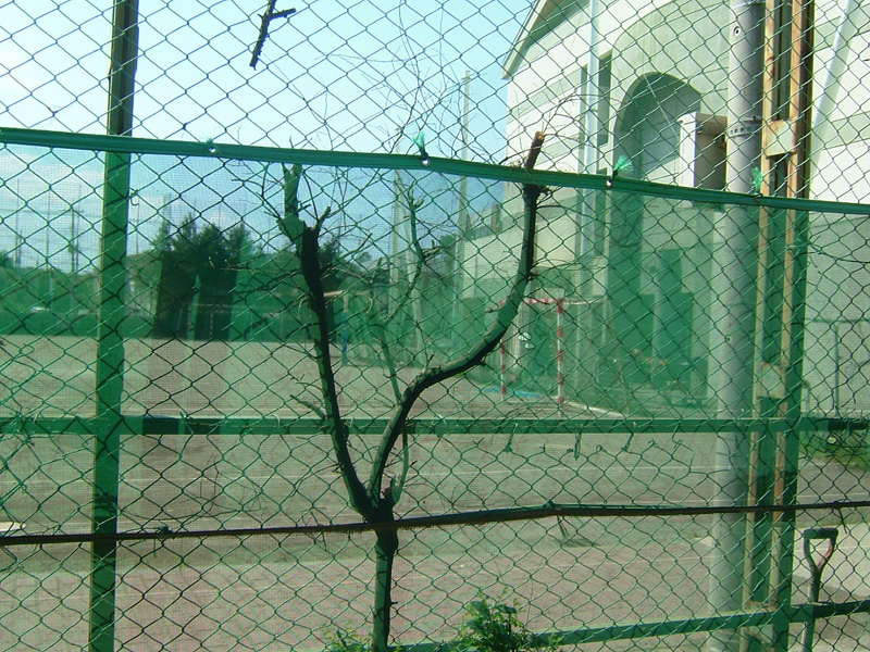 f:id:com:20050727141005j:image