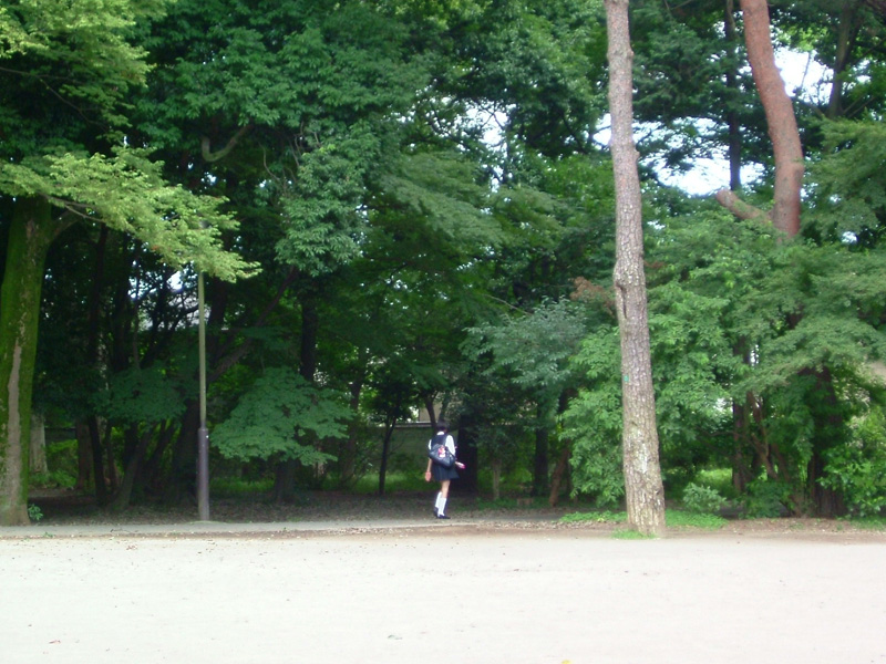 f:id:com:20050727161446j:image