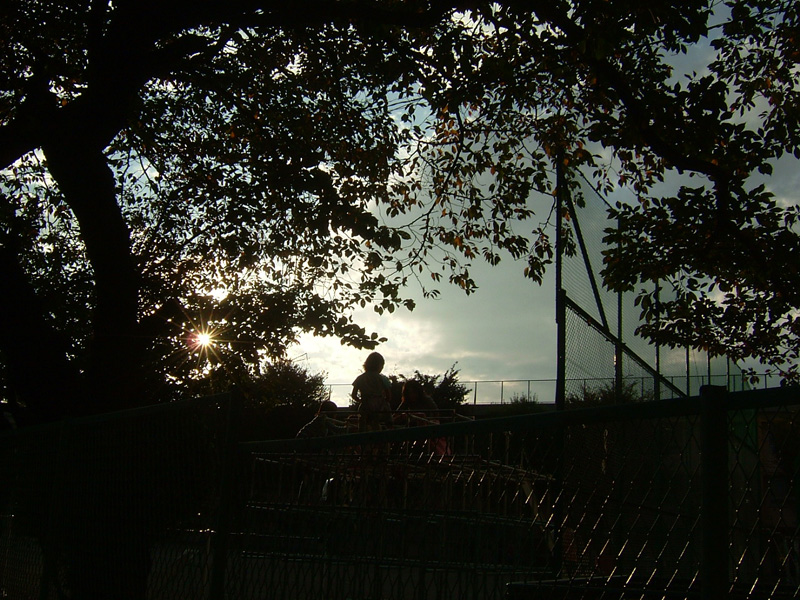 f:id:com:20051107153601j:image
