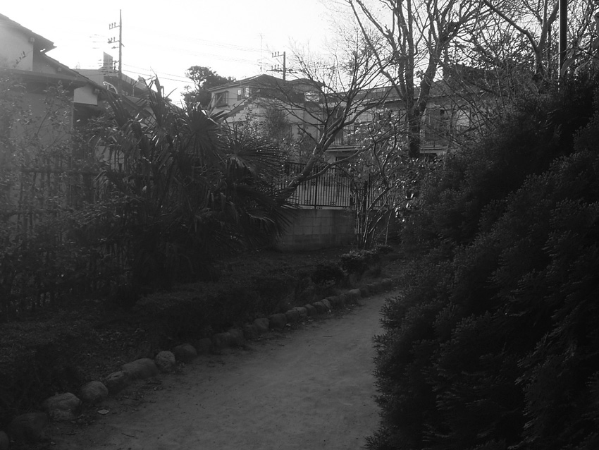 f:id:com:20070322164757j:image