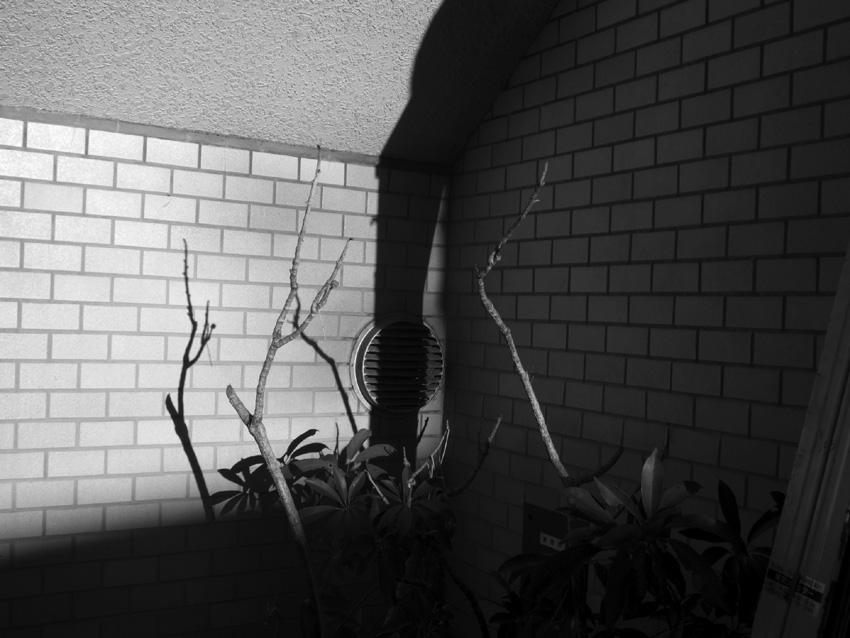 f:id:com:20071113155158j:image